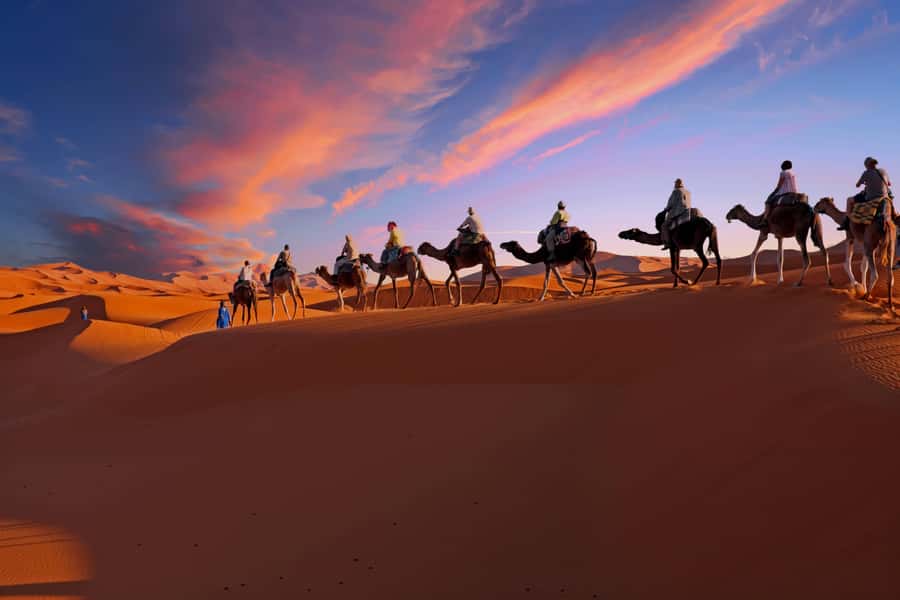 From Marrakech: Merzouga 3-Day Desert Safari with Food - Choosing between the standard and luxury camp
