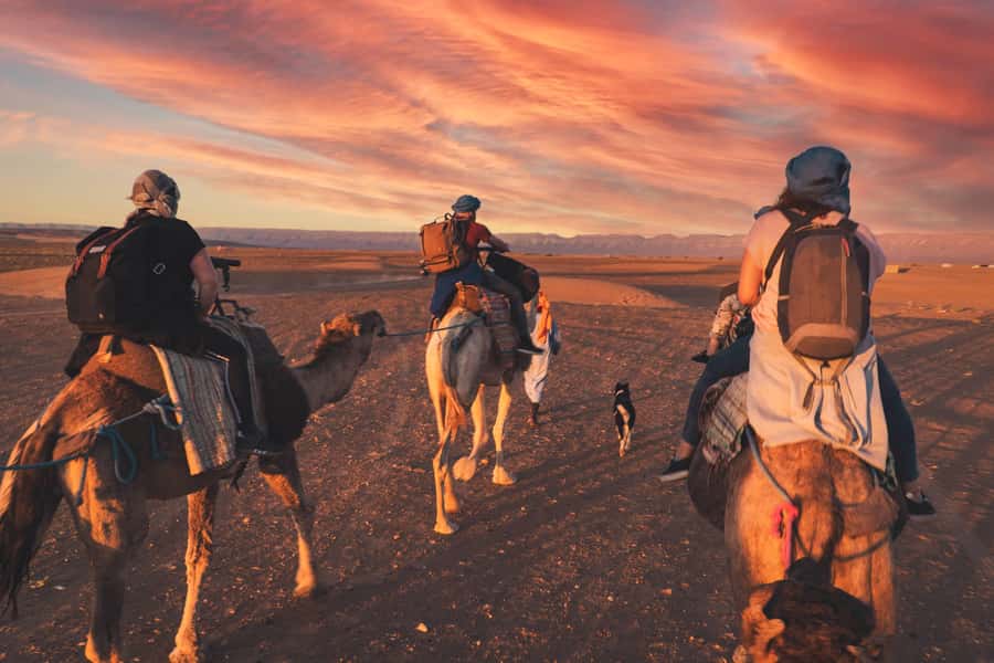 From Marrakech: Zagora 2-Day Desert Safari with Food & Camp - The Draa Valley and its palm oasis