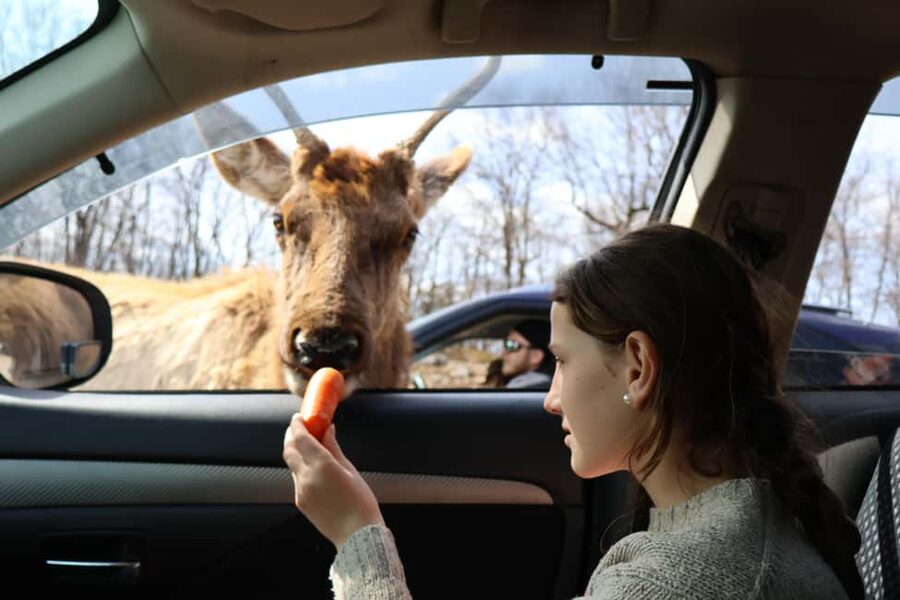 From Montreal: Omega Park Wildlife Safari Calling Sounds - Key points to know before booking