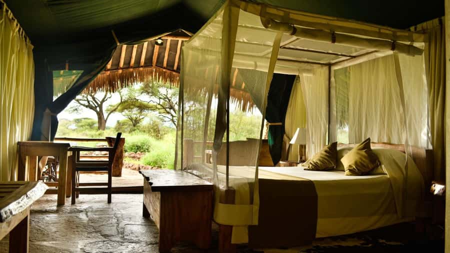 From Nairobi: 2-Day Amboseli National Park Safari - Arriving around midday and starting the first drive