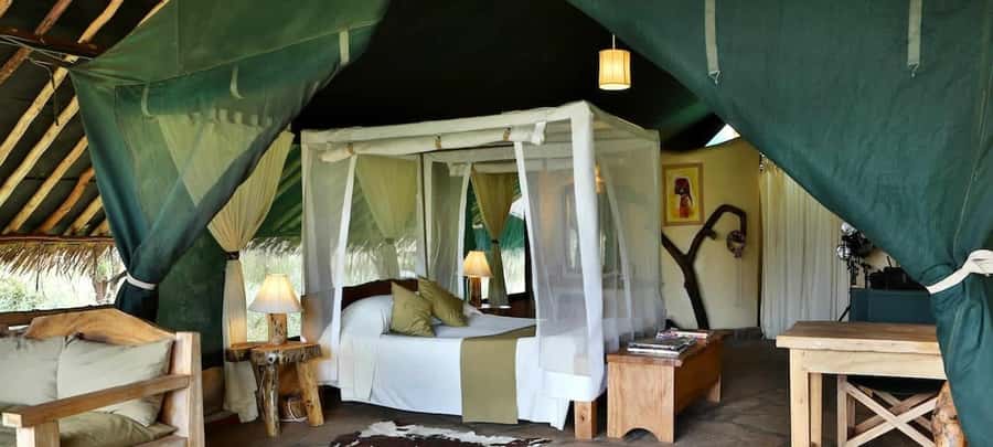 From Nairobi: 2-Day Amboseli National Park Safari - Elephants, predators, and open views in Amboseli