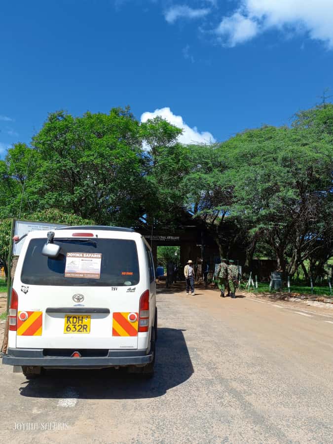 From Nairobi : 2-Days 1-Night Masai Mara Private 4WD Safari - Giraffe Hills Mara Camp and the night near the reserve