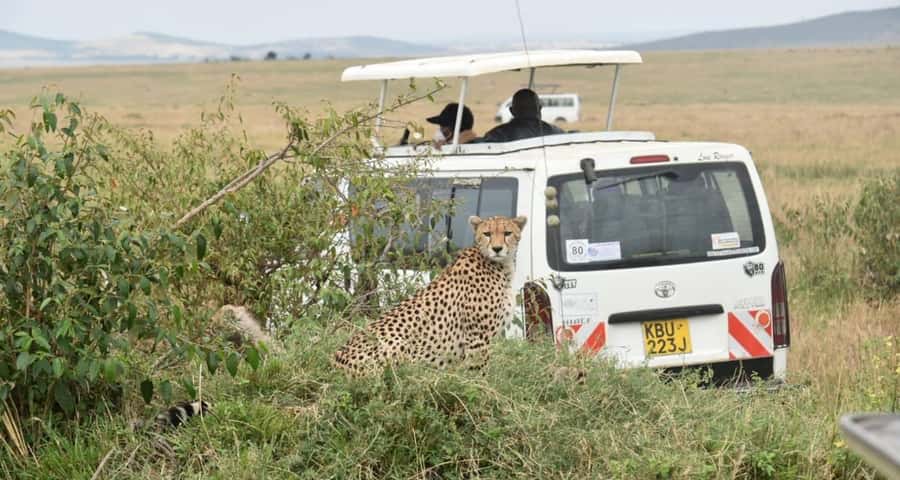 From Nairobi : 2-Days 1-Night Masai Mara Private 4WD Safari - Day one: Nairobi, Narok, and the first game drive