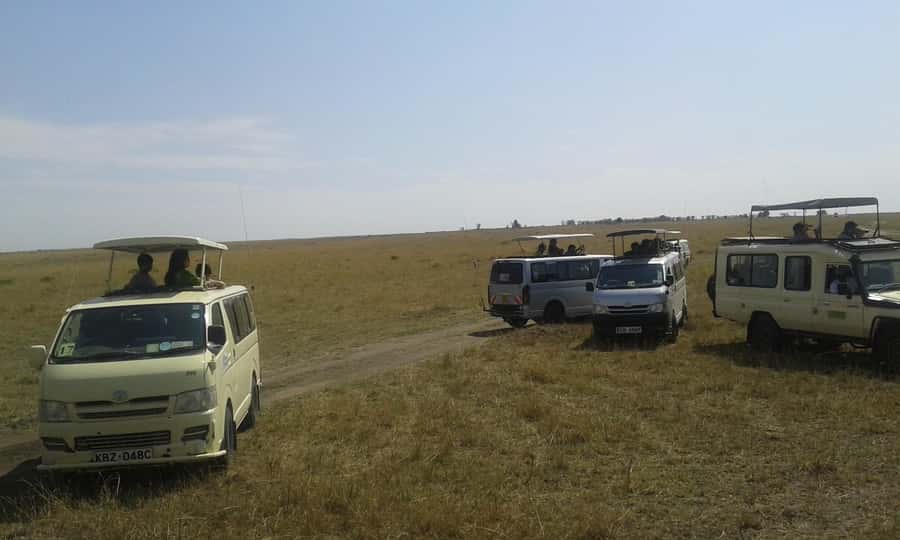 From Nairobi: 3 Days, 2 Nights Maasai Mara Group Safari - What the $199 Maasai Mara safari really includes
