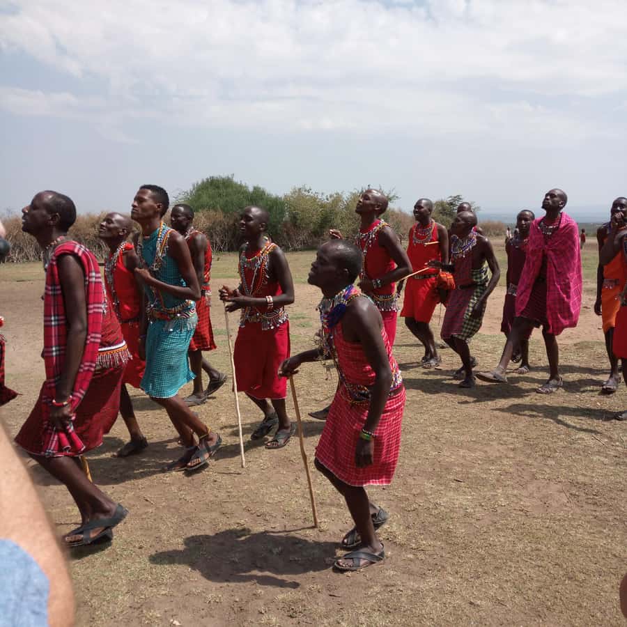 From Nairobi: 3 Days, 2 Nights Maasai Mara Group Safari - Who should book this safari