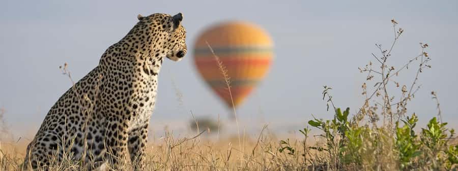 From Nairobi:3-Days 2-Nights Maasai Mara Group Safari in 4WD - Why this three-day format works