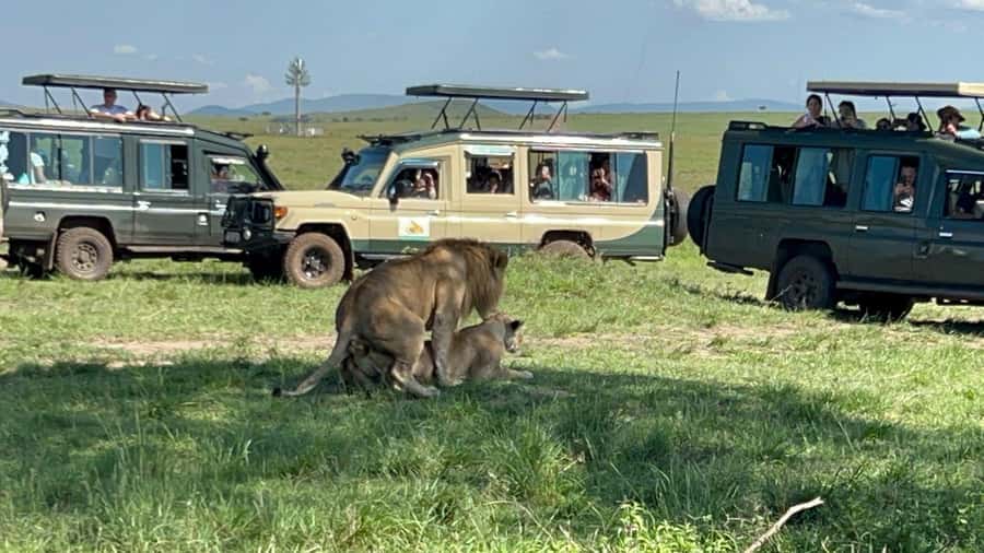 From Nairobi:3-Days 2-Nights Maasai Mara Group Safari in 4WD - Guides, driving style, and the shared vehicle