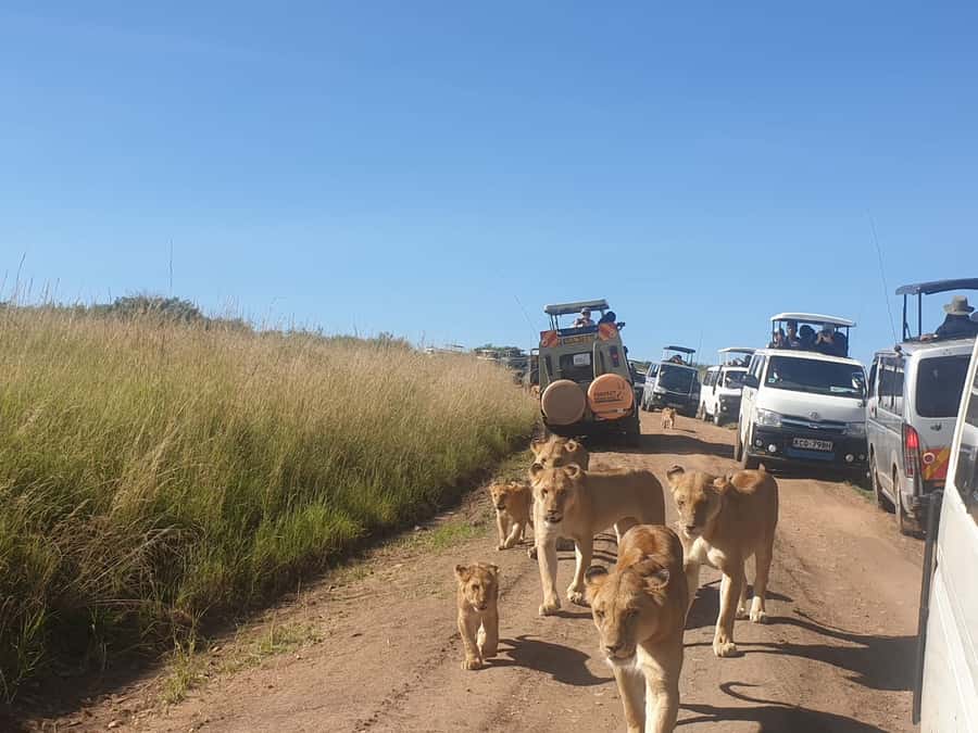 From Nairobi: 3 Days, 2 Nights Maasai Mara Group Safari - Day one: Nairobi to the Mara by way of the Rift Valley