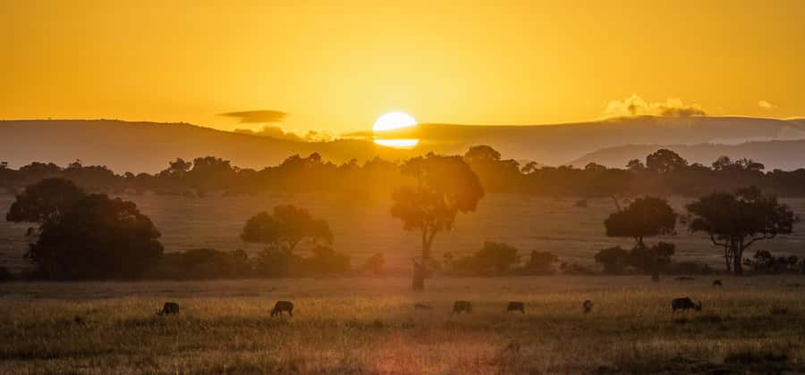 From Nairobi: 3 Days 2 Nights Masai Mara Group Safari - Key points to know before you go