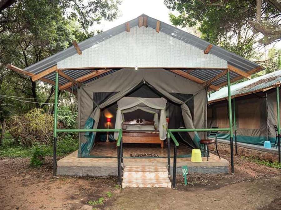From Nairobi: 3 Days 2 Nights Masai Mara Group Safari - The return to Nairobi on day three