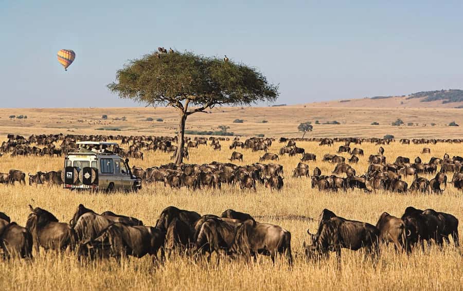From Nairobi: 4-Day Maasai Mara and Lake Nakuru Group Safari - FAQ