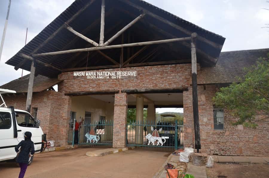 From Nairobi: 7 Days Masai Mara, Nakuru, and Amboseli Safari - Day 2: A full day among the Big Five in Masai Mara