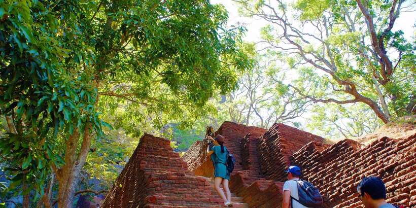 From Negombo: Sigiriya and Dambulla Day Trip and Safari - Key points to know before booking
