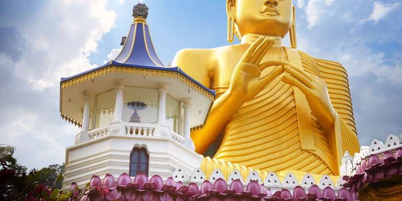 From Negombo: Sigiriya and Dambulla Day Trip and Safari - The optional safari near Minneriya or Kaudulla