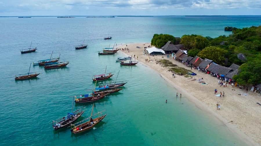 From Nungwi: Safari Blue Snorkeling Tour with Lunch - Snorkeling over Zanzibar’s coral