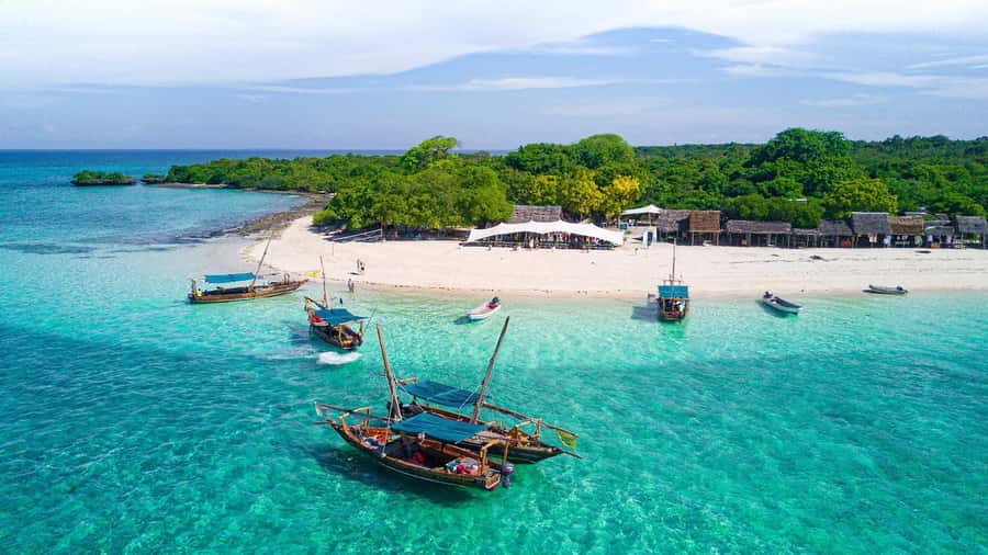From Paje/Jambian: Safari Blue Snorkelling with Lunch - Key points to know before booking