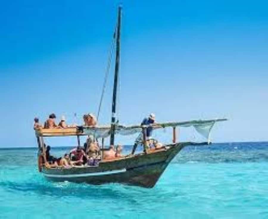 From Paje/Jambian: Safari Blue Snorkelling with Lunch - Starting from Paje or Jambiani at 8:00 a.m.