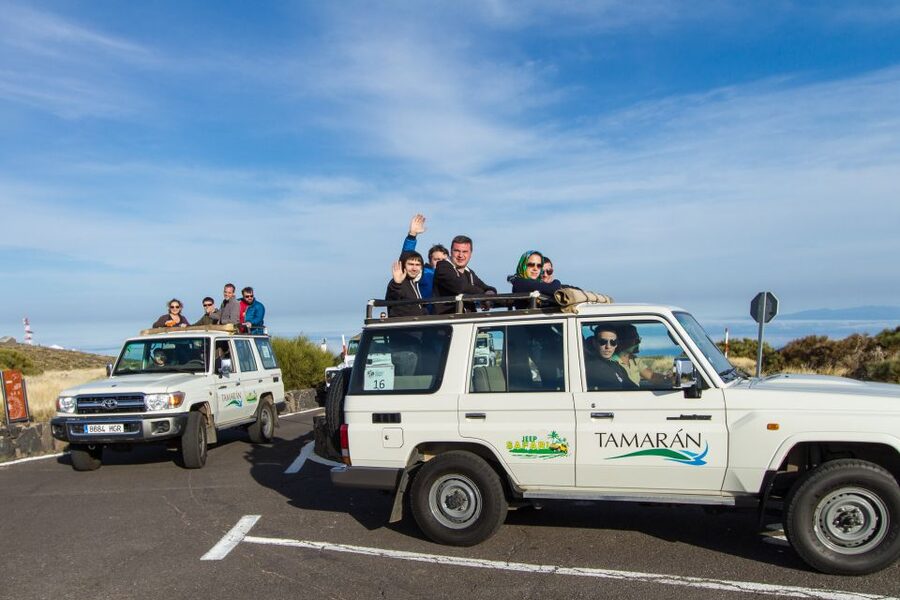 From Playa de las América: Half-Day Jeep Safari Tour - Vilaflor and the climb into the mountains