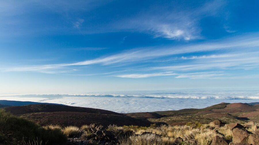 From Playa de las Américas: Full-Day Teide Jeep Safari - Starting from Costa Adeje and the South Tenerife coast