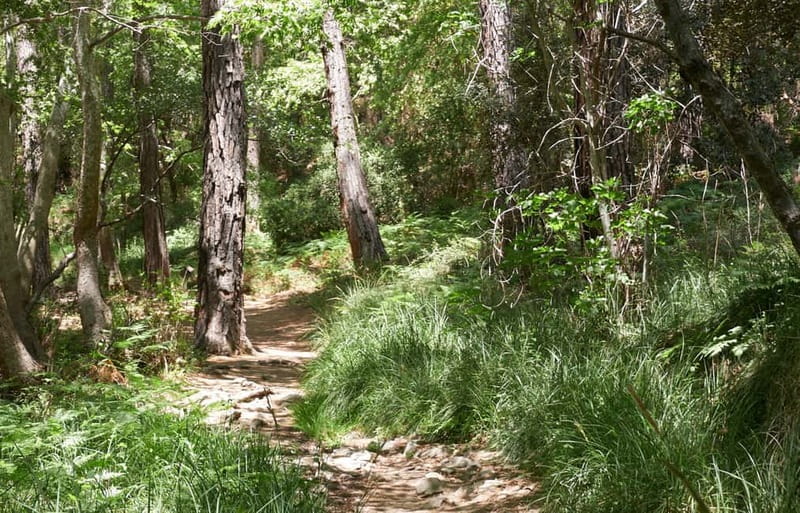 From Protaras: Full-Day Grand tour Jeep Safari with Lunch - Why This Jeep Safari Gets You Beyond Protaras