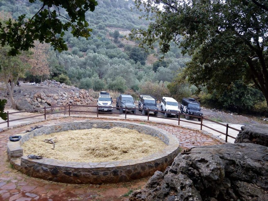From Rethymno: Off-Road Vehicle Safari with Lunch - Melidoni olive oil and Crete’s liquid gold