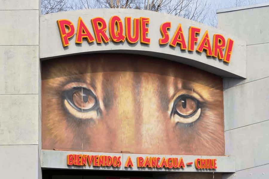 From Santiago: Safari Park, a wild experience - The ride from Santiago and the first wait
