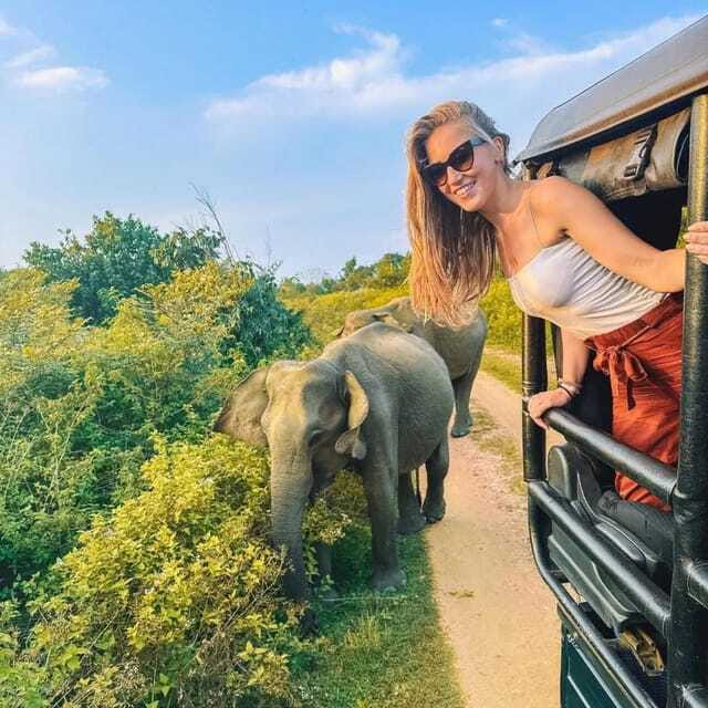 From Sigiriya : Hurulu Eco Park Safari : All Inclusive - Beyond elephants: birds, buffalo, and smaller sightings