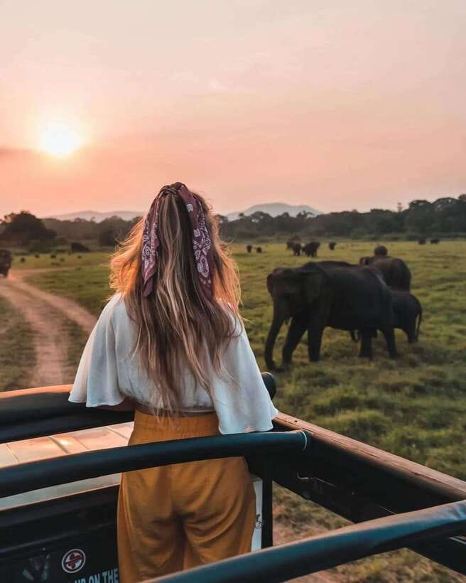 From Sigiriya: Minneriya National Park Elephant Safari - The ride from Sigiriya to the park
