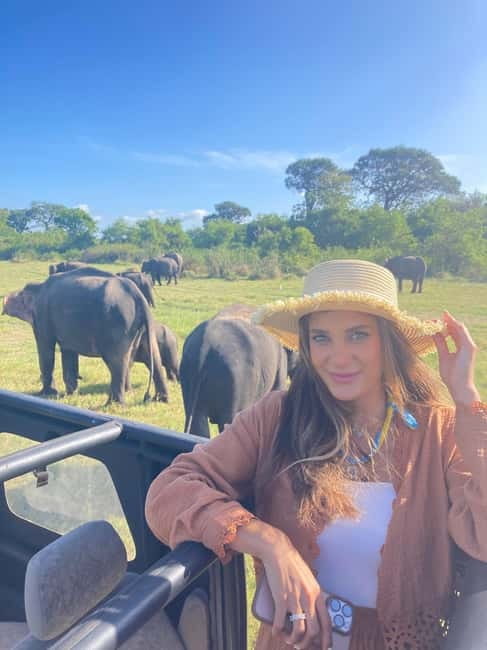 From Sigiriya: Minneriya National Park Private Jeep Safari - Why Minneriya is famous for elephants