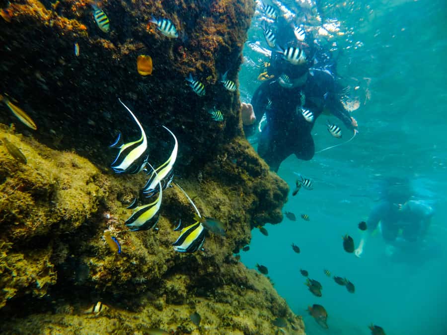 From St Lucia: Cape Vidal Full-Day Snorkeling Safari - From St Lucia into iSimangaliso Wetland Park