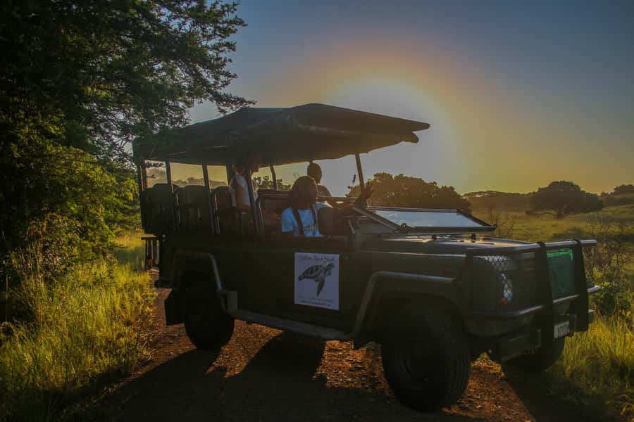 From St Lucia: Cape Vidal Full-Day Snorkeling Safari - Why a small vehicle improves the safari