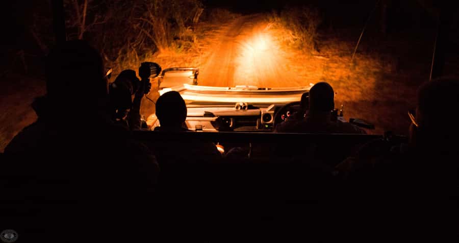 From St Lucia: iSimangaliso Wetland Park Night Drive Safari - Pickup from St Lucia and the evening schedule