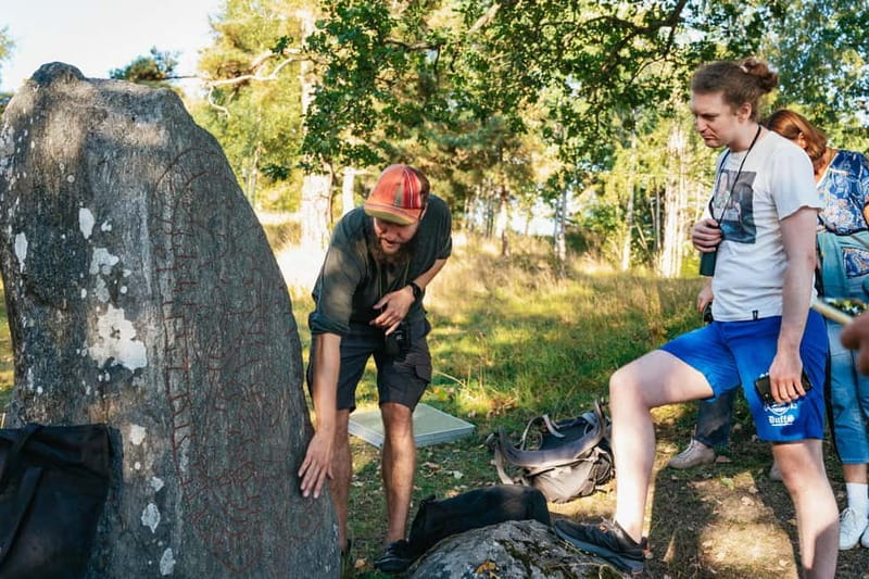 From Stockholm: Moose & Wildlife Safari with Campfire Dinner - From Stockholm streets to the Swedish forest