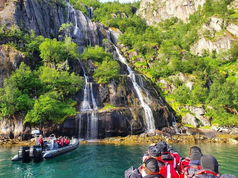 From Svolvær: RIB Boat Lofoten Trollfjord Sea Eagle Safari - Key points to know before you book