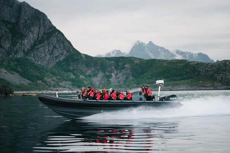 From Svolvær: RIB Boat Lofoten Trollfjord Sea Eagle Safari - Raftsundet and the search for sea eagles