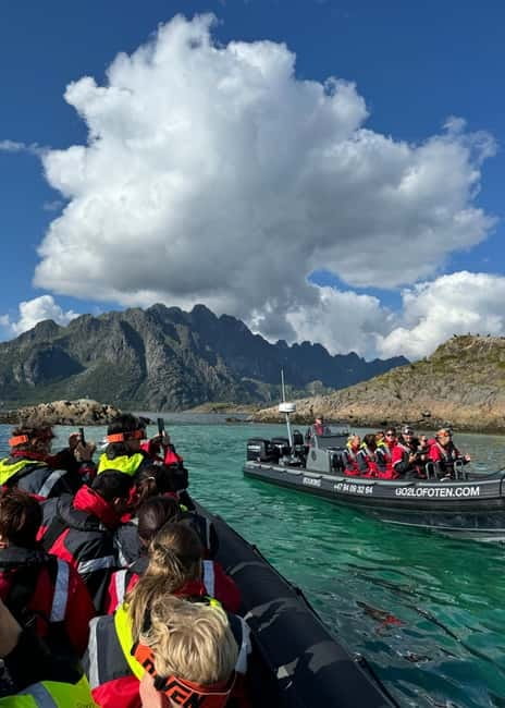 From Svolvær: RIB Boat Lofoten Trollfjord Sea Eagle Safari - Beaches, Viking sites, and stories between the stops