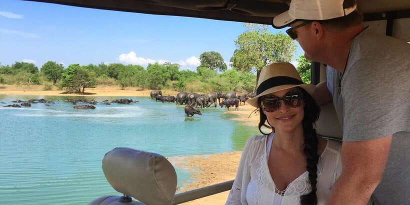 From Tangalle/Hiriketiya: Ella Transfer & Udawalawe Safari - Is $48 good value for this combination?