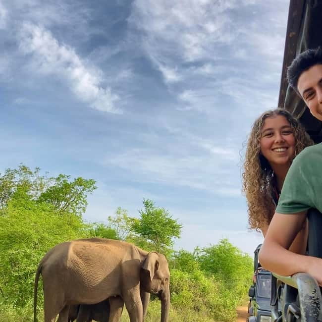 From Tangalle/ Hiriketiya: Yala Safari with Drop: Ella - Who should book this experience