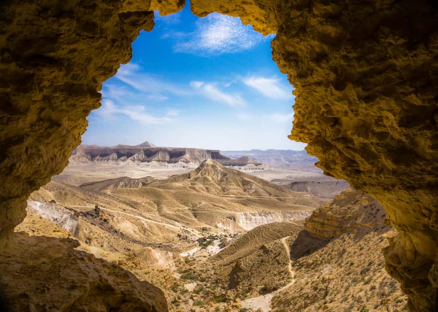 From Tel Aviv: Dead Sea Visit & Desert Safari - Finishing with the Dead Sea