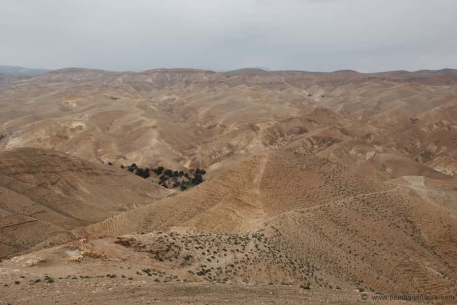 From Tel Aviv: Dead Sea Visit & Desert Safari - Dropping below sea level near Jericho