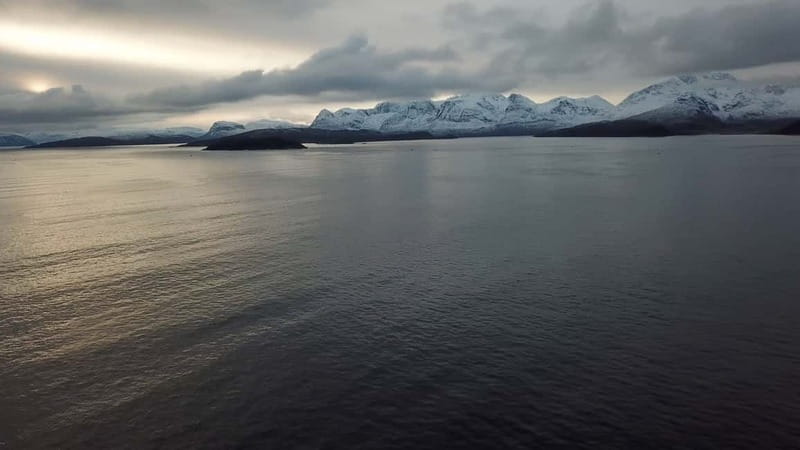 From Tromsø: All-Inclusive Whale & Orca Safari - Arriving in the whale-watching area