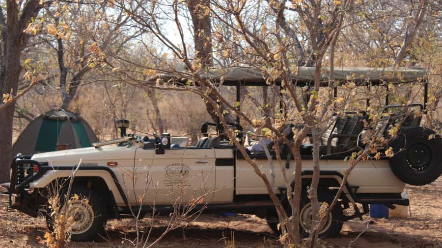 From Victoria Falls: Sunrise to Sunset Chobe Safari - Why Chobe makes a strong day trip from Victoria Falls