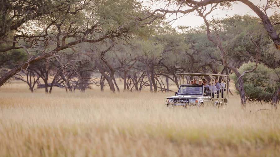 From Windhoek: Okapuka Safari Lodge Day Trip - Accessibility and comfort require direct confirmation
