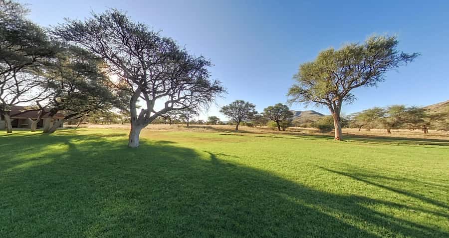 From Windhoek: Okapuka Safari Lodge Day Trip - The noon departure keeps the day manageable