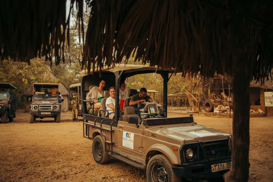 From Zanzibar: 3-Day Selous Safari Trip with Flights - Who will get the most from this safari