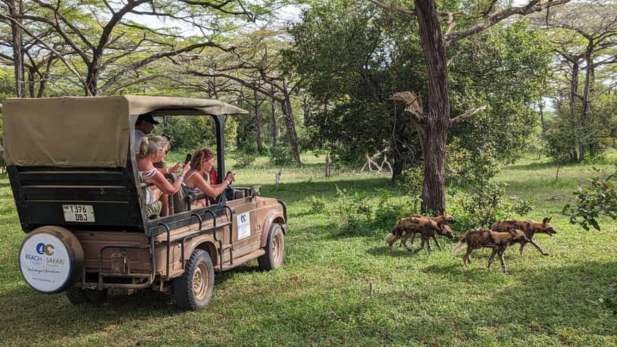 From Zanzibar: Day Selous Game Reserve Safari with Flights - Starting the game drive beside the airstrip