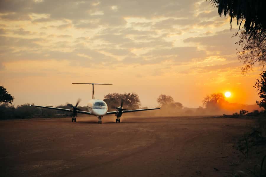 From Zanzibar: Day Selous Game Reserve Safari with Flights - The mid-morning tea stop
