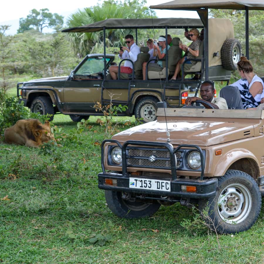 From Zanzibar: Day Selous Game Reserve Safari with Flights - A bush lunch beneath the Tanzanian sky
