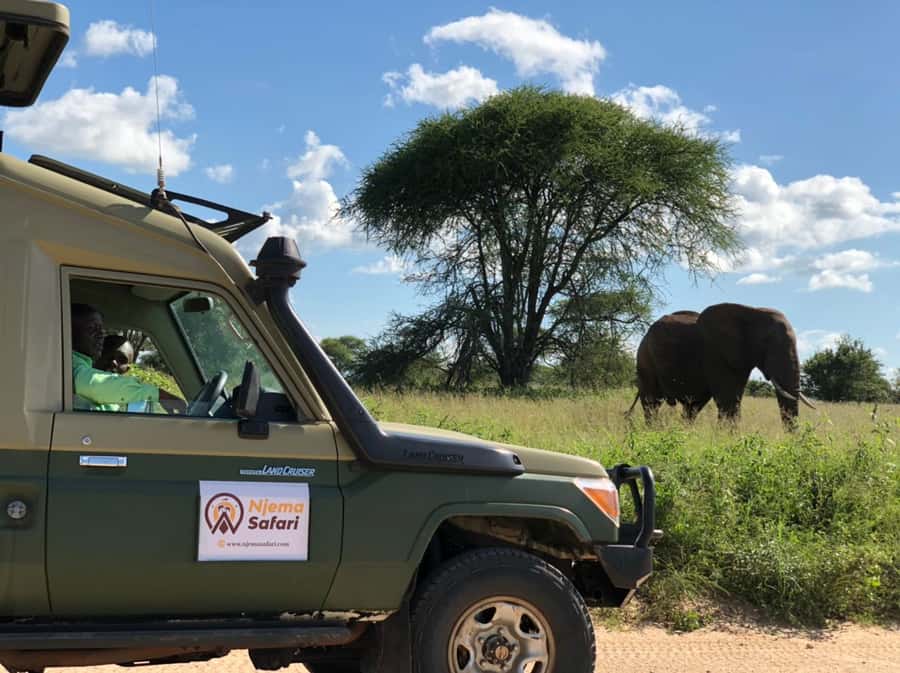 From Zanzibar: Mikumi National Park Guided Safari - Why Mikumi works from Zanzibar