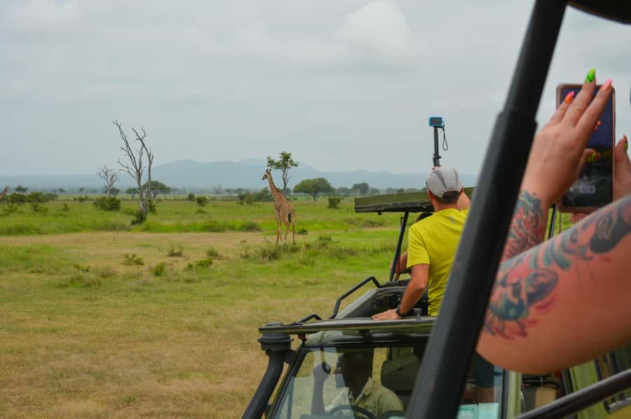 From Zanzibar: Mikumi National Park Guided Safari - Eight hours in Mikumi by open 4x4